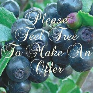 Please Feel Free To Make An Offer